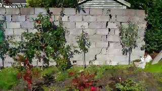 Galiwa Ch101 Apple Tree Initial Review In Cork, Ireland