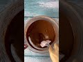 Make Your Own Cake: Easy Homemade Cake Recipe for Beginners