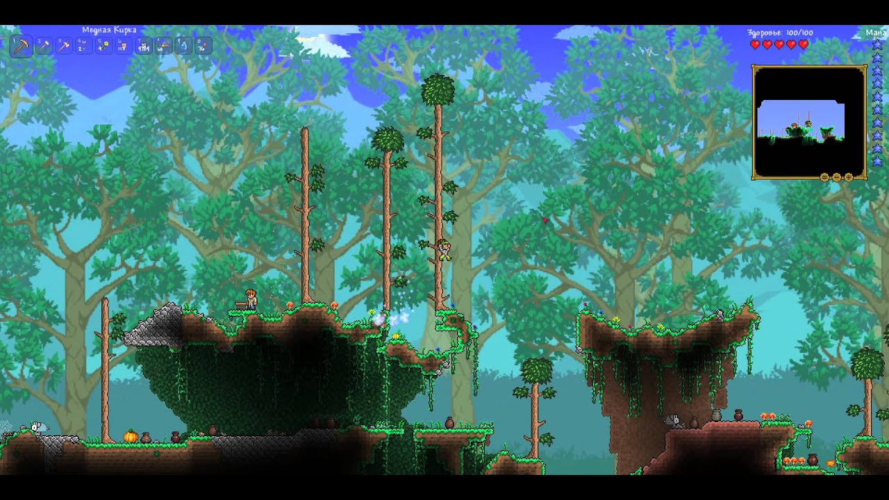 Террарию Версия 1.2.4.1 На Русском