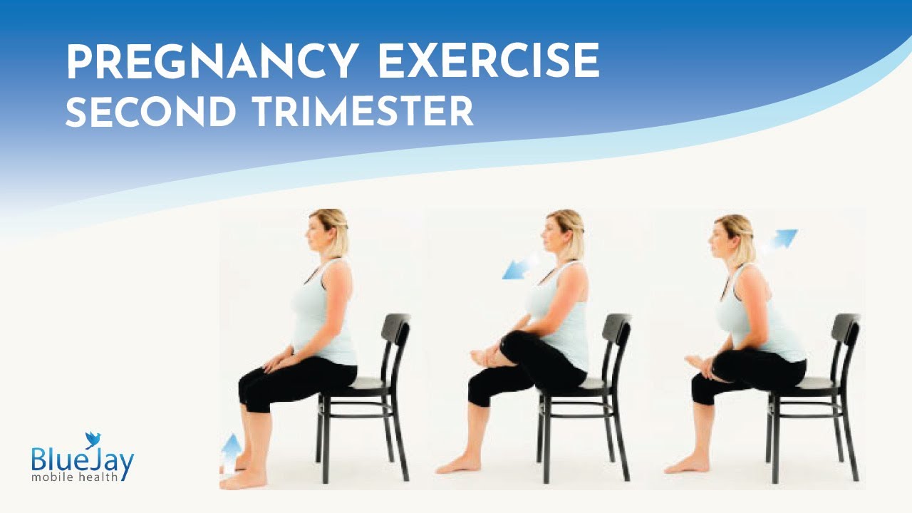 Seated Piriformis Stretches