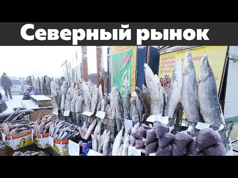 Почему дикую Северную рыбу лучше не есть?