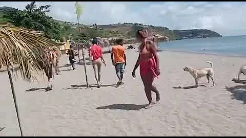 Dominica dogs dont play