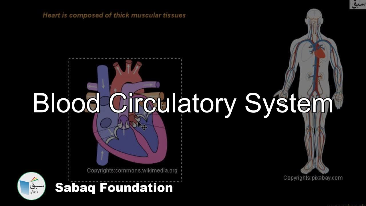 Blood Circulatory system of Human, General Science Lecture | Sabaq.pk