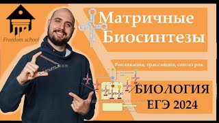 картинка: Матричные БИОСИНТЕЗЫ - Репликация, Транскрипция, Трансляция ДЛЯ ЕГЭ 2024 |ЕГЭ БИОЛОГИЯ|Freedom|