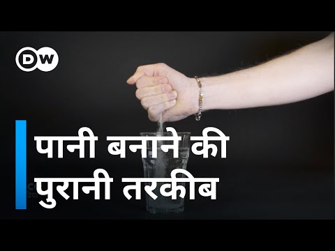 वीडियो: क्या मीठे पानी में समुद्री घास उग सकती है?