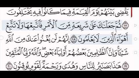سورة الجاثية الشيخ الشريم من مصحف آيات