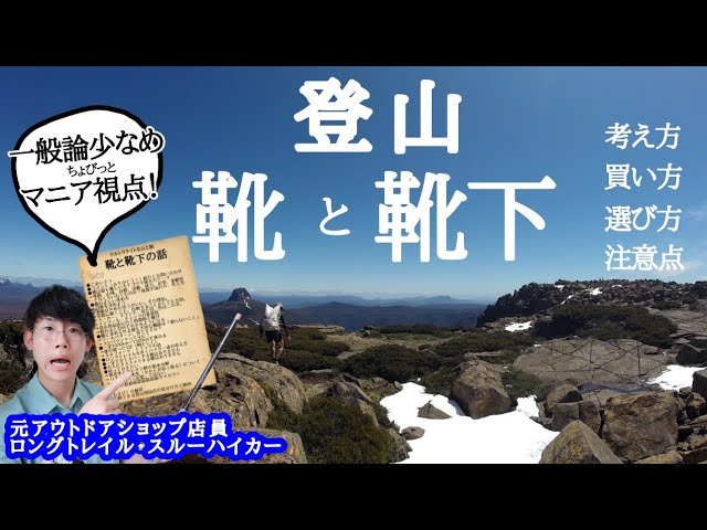 山採り　モミノキ 山採り モミノキ 【公式通販】