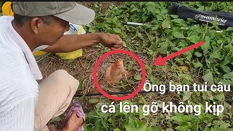 CÂU CÁ (fishing) nay rũ mấy ông bạn cùng vào áo nuôi bỏ hoang câu và cái kết thật bất ngờ.