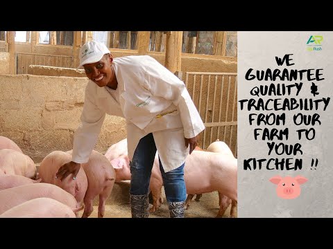 Value-addition: Pig Farming. Daiichi Farm Kenya | 18 June 2021