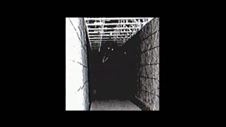 Godzilla Encounter (1962) - Godzilla Analog Horror
