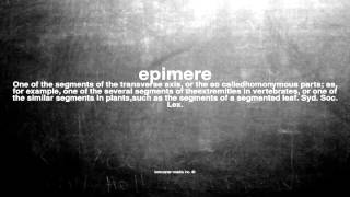What does epimere mean