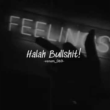 Stry wa|Anjing kalian semua