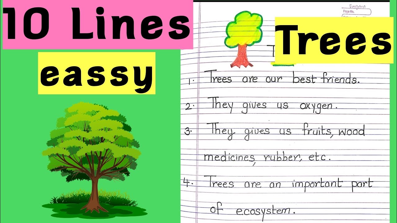 essay trees for class 2