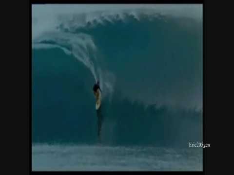 The sport of the Kings - surf great tribute