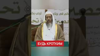 Кротость — спутник благоразумия. Шейх: Салих Аль - Усейми.