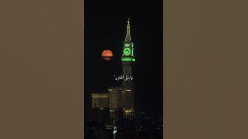 أجمل تلاوة للقرآن الكريم بصوت مؤثر يريح القلب والروح