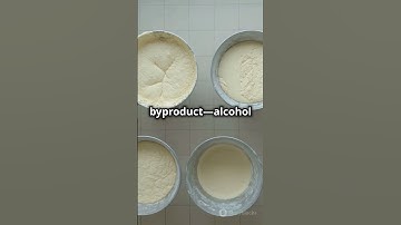 How Yeast Turns Sugar into Alcohol: The Magic of Fermentation!