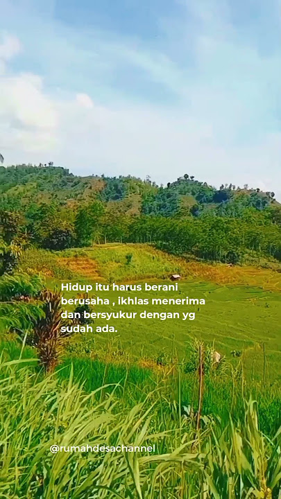 PEMANDANGAN DAN SULING SAWAH ORANG SUNDA #short #pedesaansunda