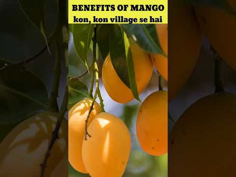 Amazing Fact About