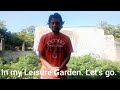 Welcome to leisure garden growing vegetables in my courtyard 12x10 mtrs gardening for beginners