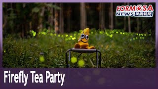 Lugu villages offer rare chance to drink tea amongst fireflies｜Taiwan News