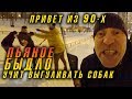 ПРИВЕТ ИЗ 90-Х. ПЬЯНОЕ БЫДЛО УЧИТ ВЫГУЛИВАТЬ СОБАК