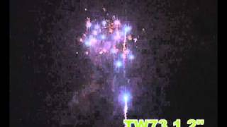TW73-1,2.avi