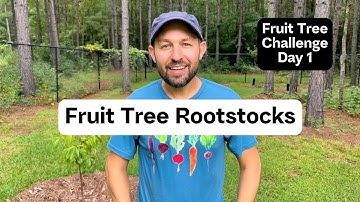 Fruit Tree Rootstocks Explained - Fruit Tree Challenge Day 1