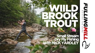 Dry Fly Fishing Wild Brook Trout On A Small Mountain Stream