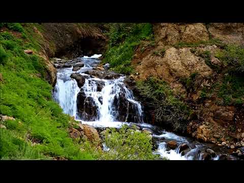 ფსალმუნი მე-18