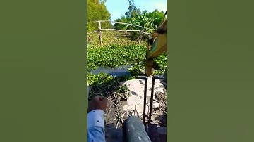 Xe cuốc miền tây