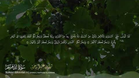 تلاوة ندية من سورة ابراهيم / للشيخ هيثم الدخين لعام 1445هـ