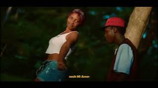 Mi Amor_V lason ft Boy Daprince ( Visualiser)