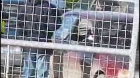 TDC multivenue autotest 16-01-2011,