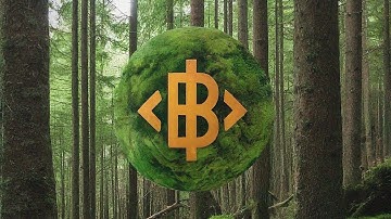 Can Blockchain Save The Environment@sustainablyaware #blockchain#sustainability#sustainablyaware