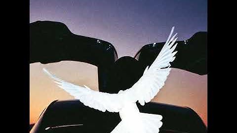 Van Der - B1 [Diffuse Reality Records]