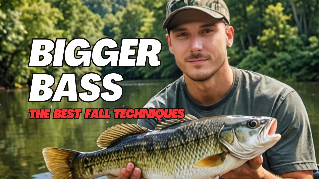 Catch Bigger Bass in Fall 2024 Using These Techniques!