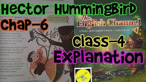 Hector Hummingbird Class-4 Chap-6  #explanationgivenHectorHummingbirdtheenglishchannelbookClass4