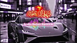 LAGU PARTY 2025 (BASSGLER) ✨OLE NARA✨(ARDIN BUTON REMIXER)