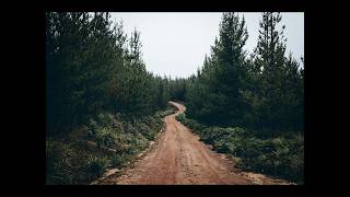 Backroad Dirty Echoes