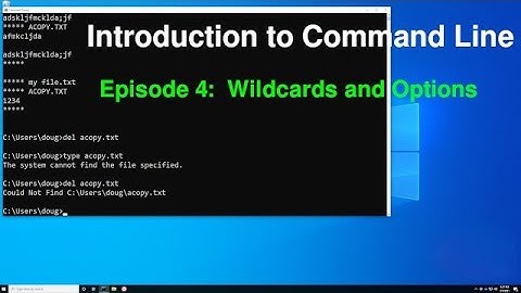 Introduction to Command Line IV: Wildcards and Command Options