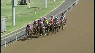 20200212 Hollywoodbets Greyville express clip Race 6 won by PETRA