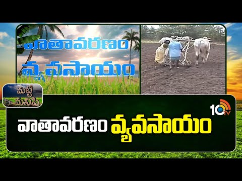 వాతావరణం వ్యవసాయం | Weather Conditions | Weather Forcast | Matti Manishi 10TV News - 10TVNEWSTELUGU