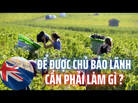 Video: Làm Thế Nào để Ghi Danh Vào Trại