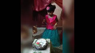 Riya birthday vlog  my sis b day celebration