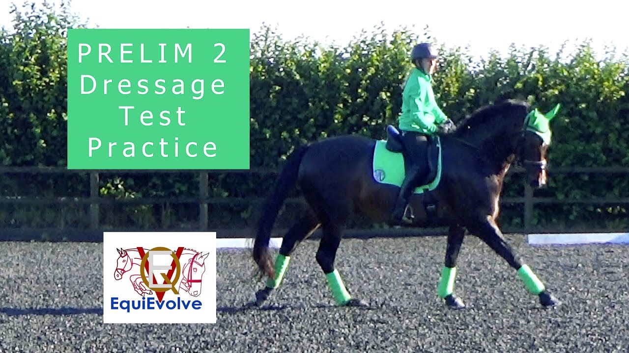 Learn The Prelim 2 British Dressage Test 2016 Youtube