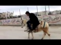 فيديو ساخر من انتاج طلاب في جامعة البوليتكنك الخليل 