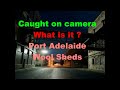 Port adelaide woolshed blob