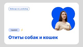 картинка: Отиты у собак и кошек