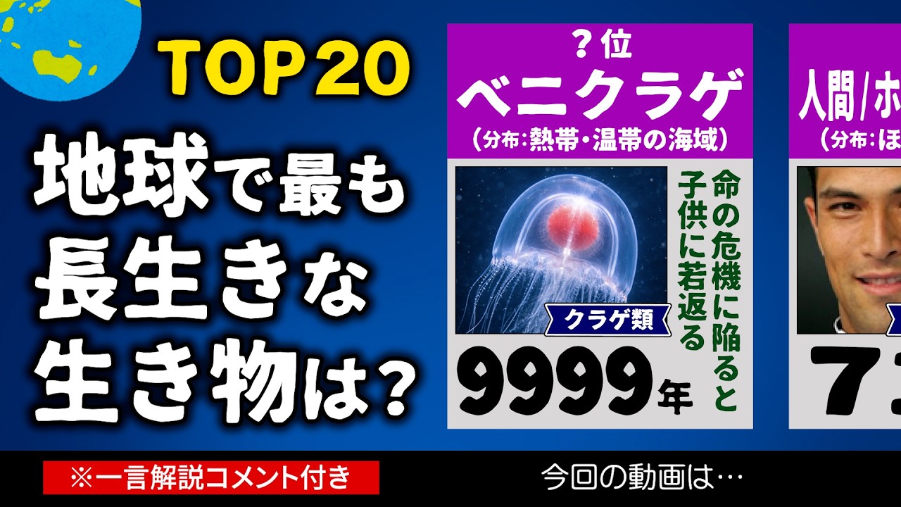 寿命が長い生物ランキング【長生きTOP20】